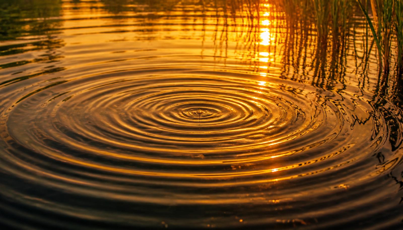 The Law of Vibration: What It Means and How to Practice It