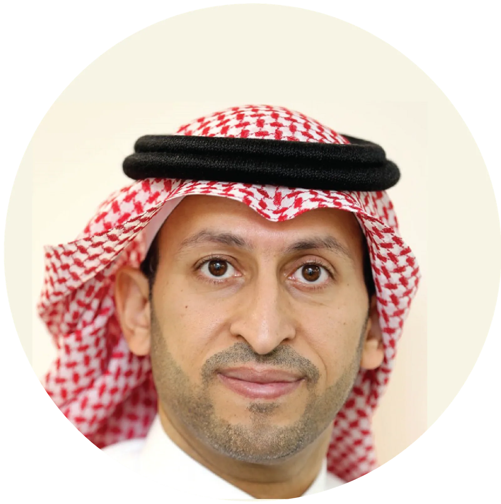 Sultan Al Hamidi