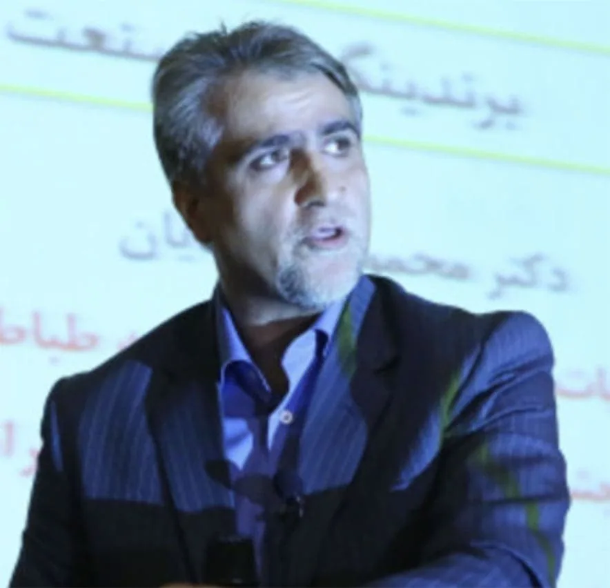 Prof. Mahmoud Mohammadian