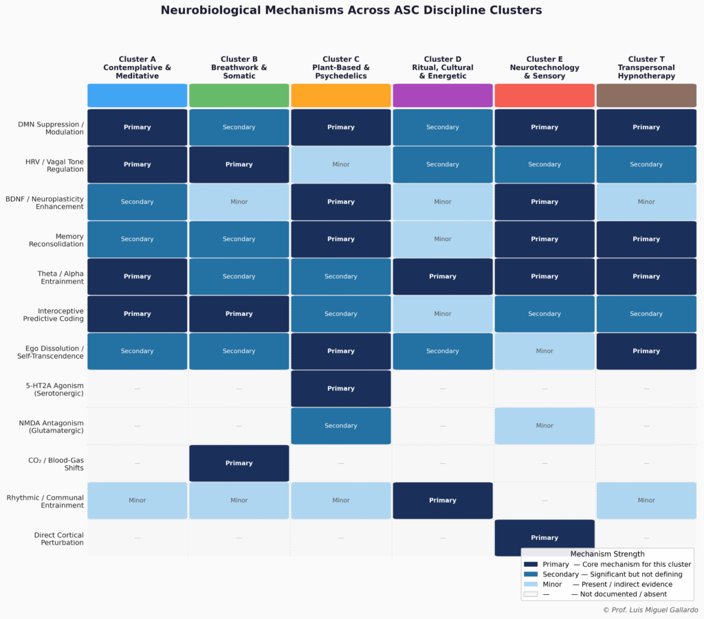 ASC_Neurobiology_Heatmap by Luis Miguel Gallardo
