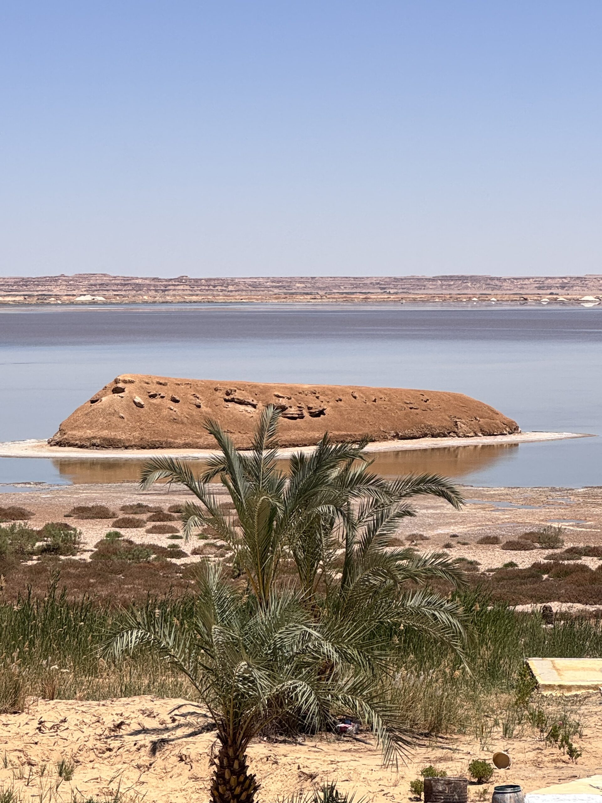 Siwa: The First Oasis of Happiness