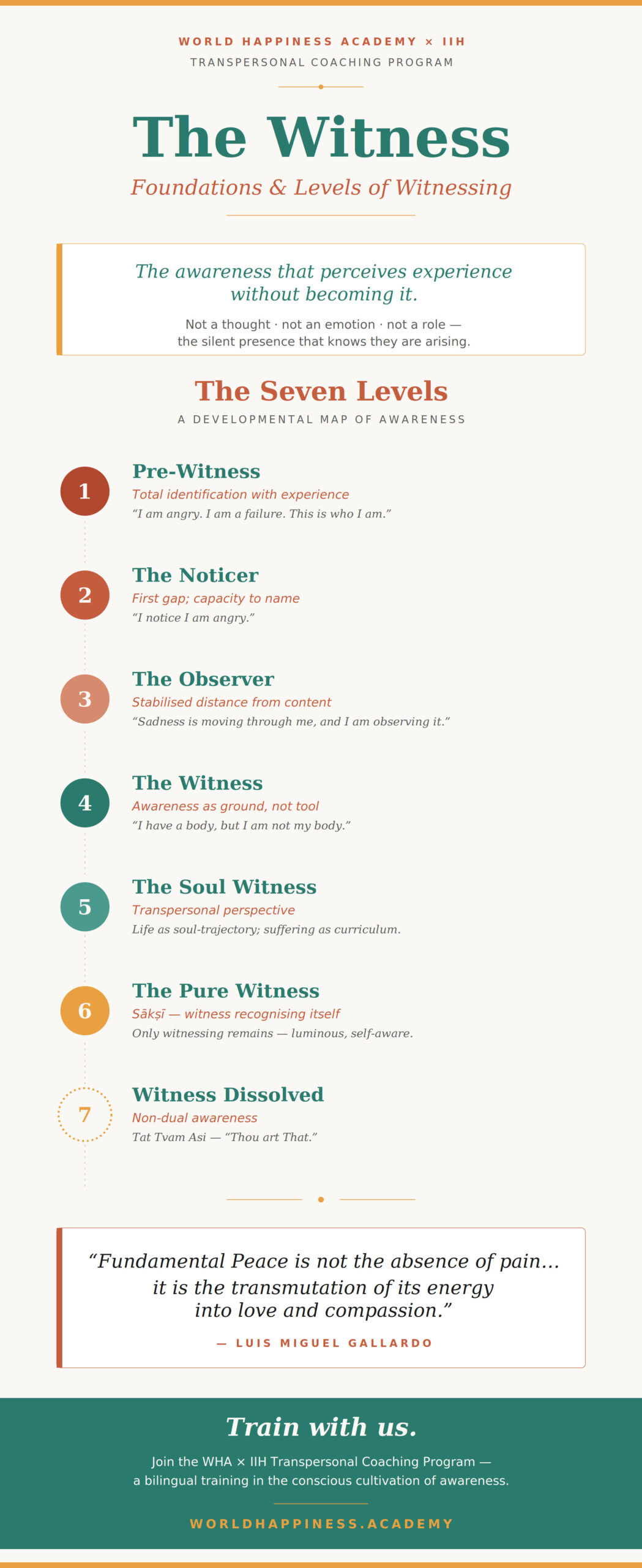 The Witness Within